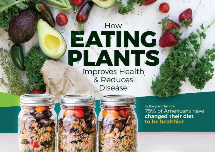 What Are The Benefits Of A Plant-Based Diet For Health